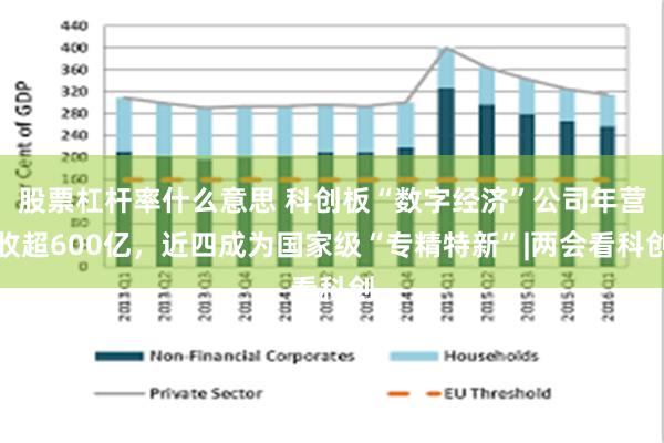 股票杠杆率什么意思 科创板“数字经济”公司年营收超600亿，近四成为国家级“专精特新”|两会看科创