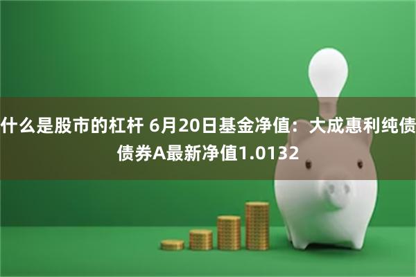 什么是股市的杠杆 6月20日基金净值：大成惠利纯债债券A最新净值1.0132