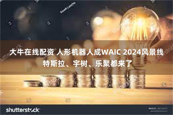 大牛在线配资 人形机器人成WAIC 2024风景线 特斯拉、宇树、乐聚都来了