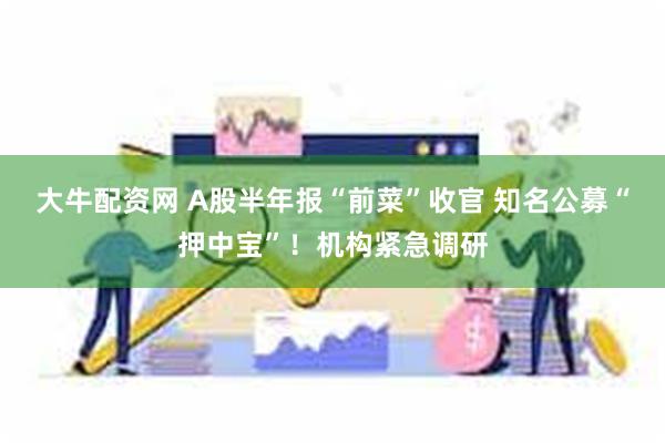 大牛配资网 A股半年报“前菜”收官 知名公募“押中宝”！机构紧急调研