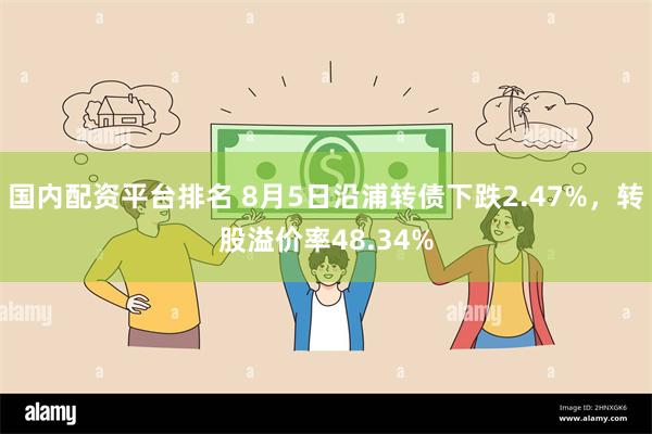 国内配资平台排名 8月5日沿浦转债下跌2.47%，转股溢价率48.34%