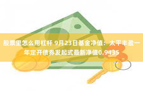 股票里怎么用杠杆 9月23日基金净值：太平丰盈一年定开债券发起式最新净值0.9435