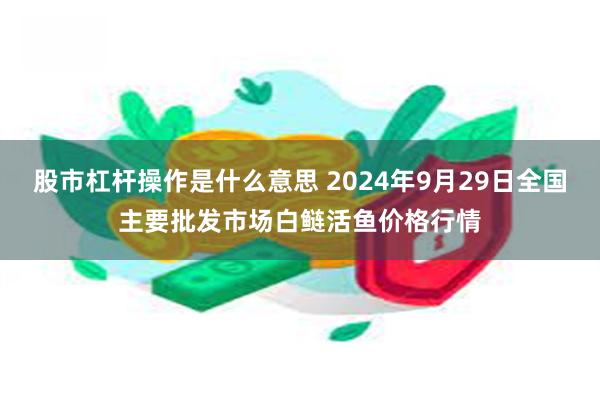 股市杠杆操作是什么意思 2024年9月29日全国主要批发市场白鲢活鱼价格行情