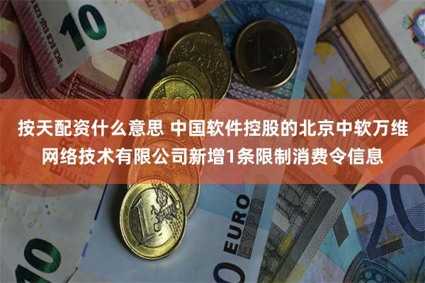 按天配资什么意思 中国软件控股的北京中软万维网络技术有限公司新增1条限制消费令信息