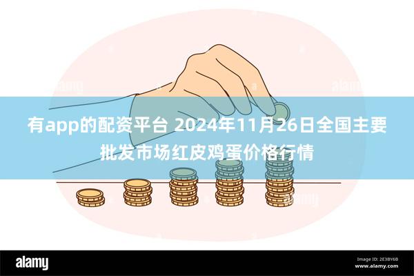 有app的配资平台 2024年11月26日全国主要批发市场红皮鸡蛋价格行情